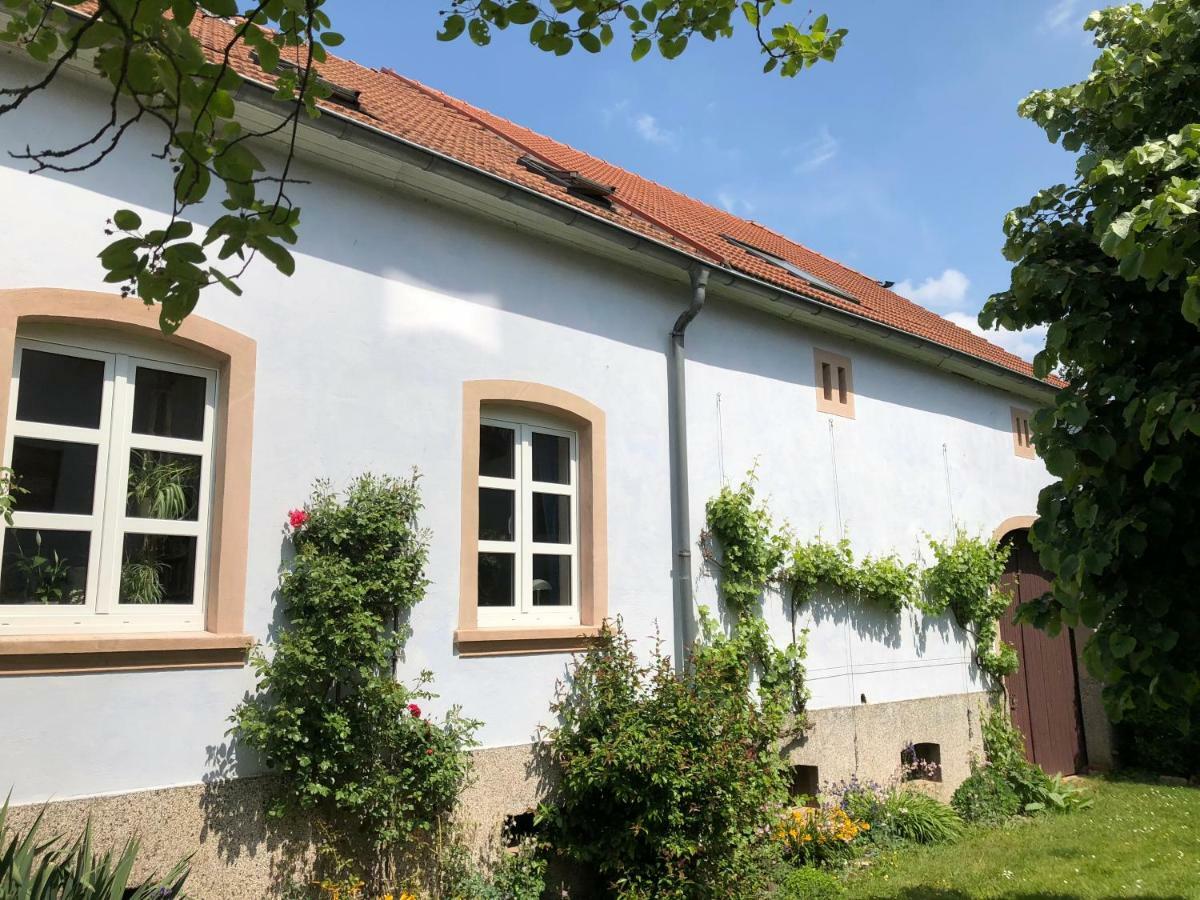 Ferienwohnung Maurer Hasborn-Dautweiler Dış mekan fotoğraf